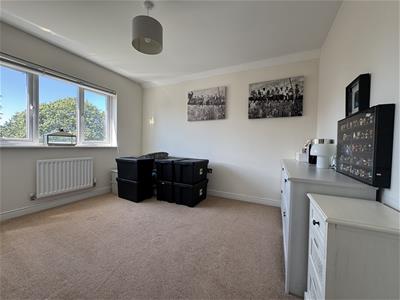 Picture 13